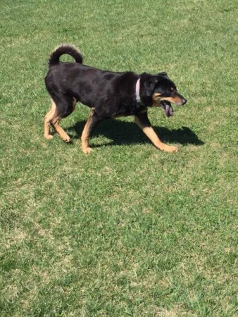 brody5
