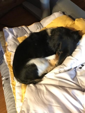 monty2